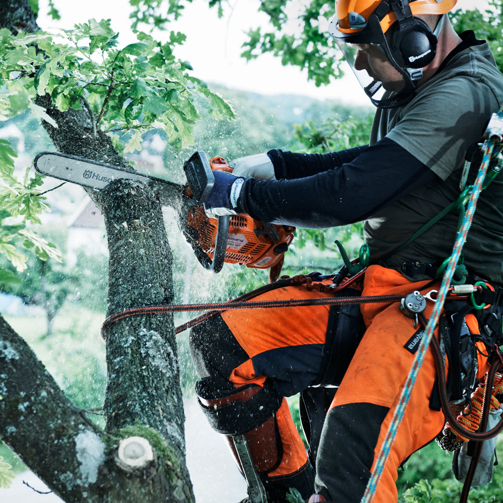 Produktabbildung: Husqvarna - T540 XP® Mark II (14 Zoll)  